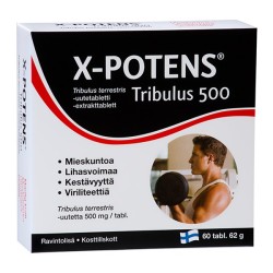 Gulsčiosios ragužės ekstraktas - X-POTENS TRIBULUS, N60