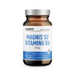 Magnis su vitaminu B6, N90 