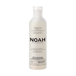 1.9 Anti-Yellow Shampoo Geltonus atspalvius neutralizuojantis šampūnas, 250ml