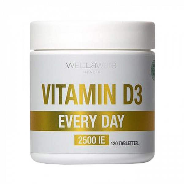 WellAware Vitamin D3 Everyday Maisto papildas, N120 | elvaistine.lt